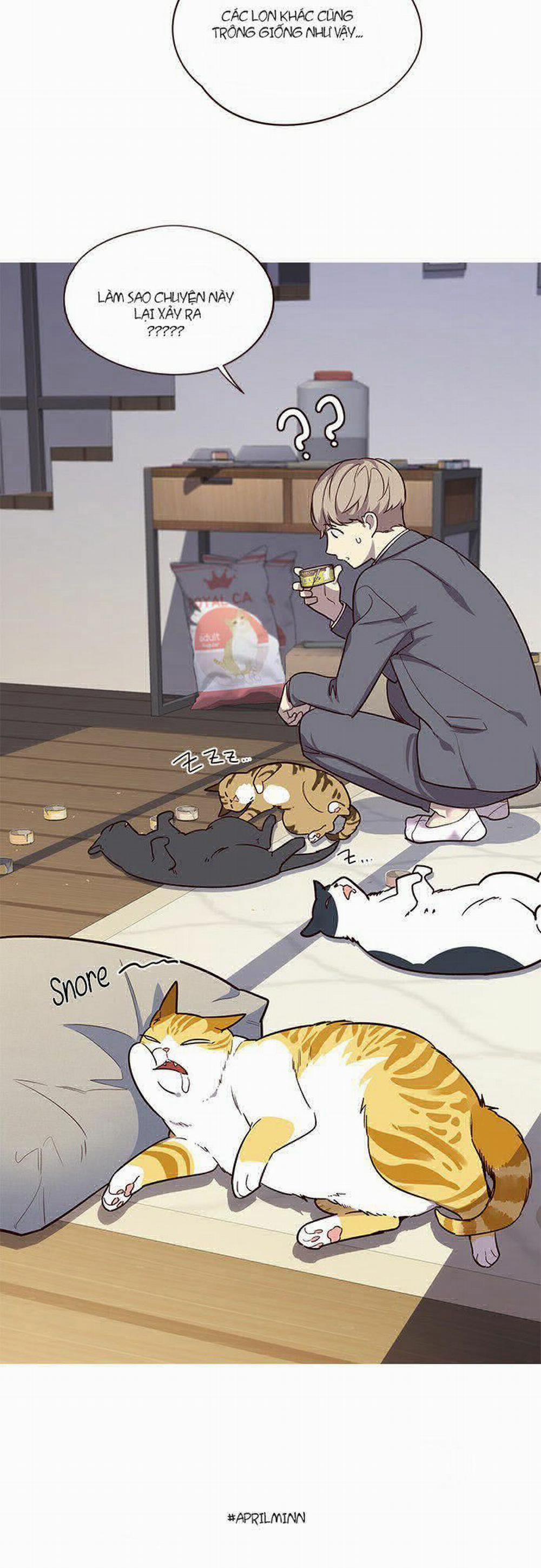 Hóa Thân Thành Mèo 6 trang 45
