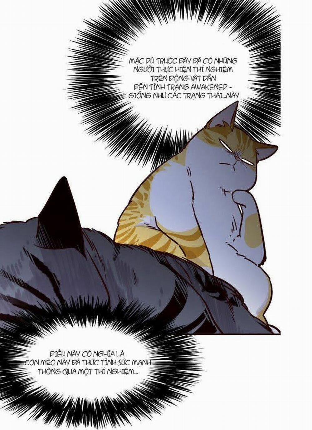 Hóa Thân Thành Mèo 6 trang 5
