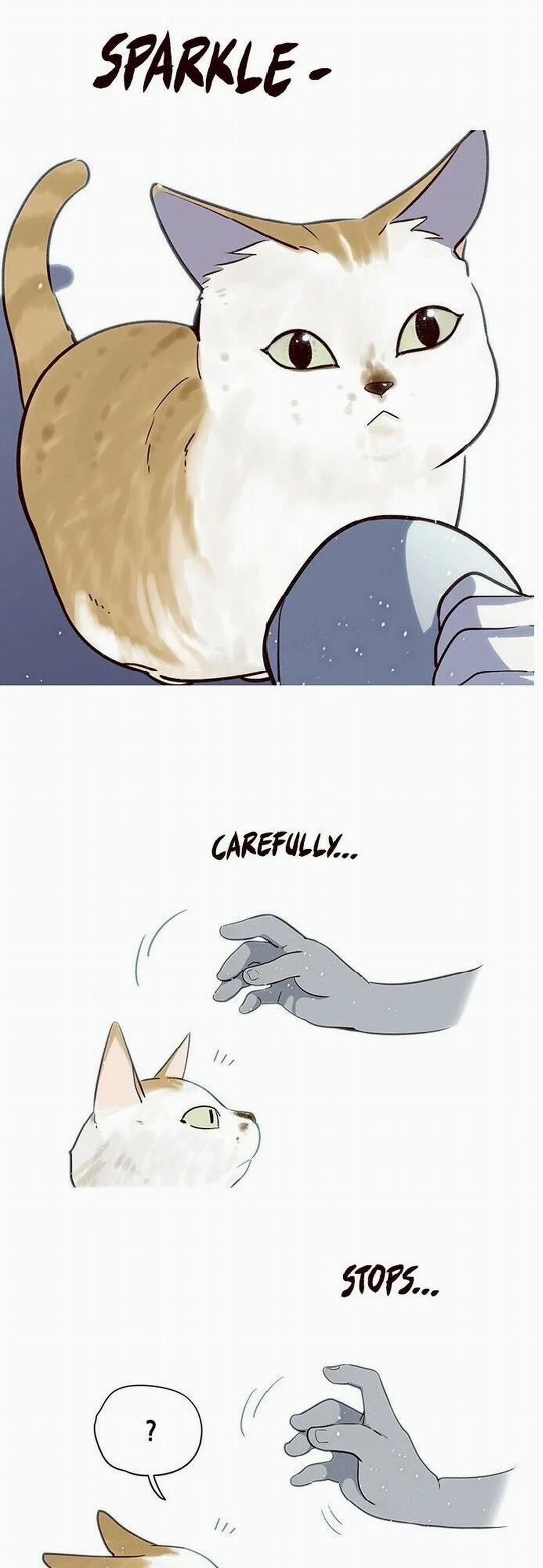 Hóa Thân Thành Mèo 7 trang 11