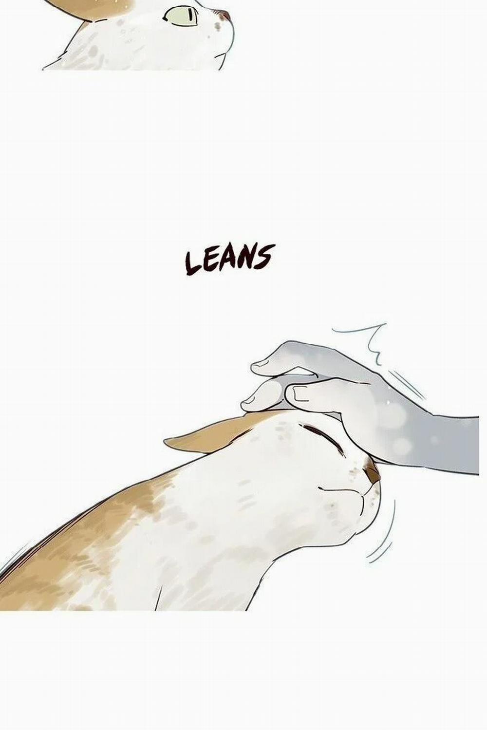 Hóa Thân Thành Mèo 7 trang 12