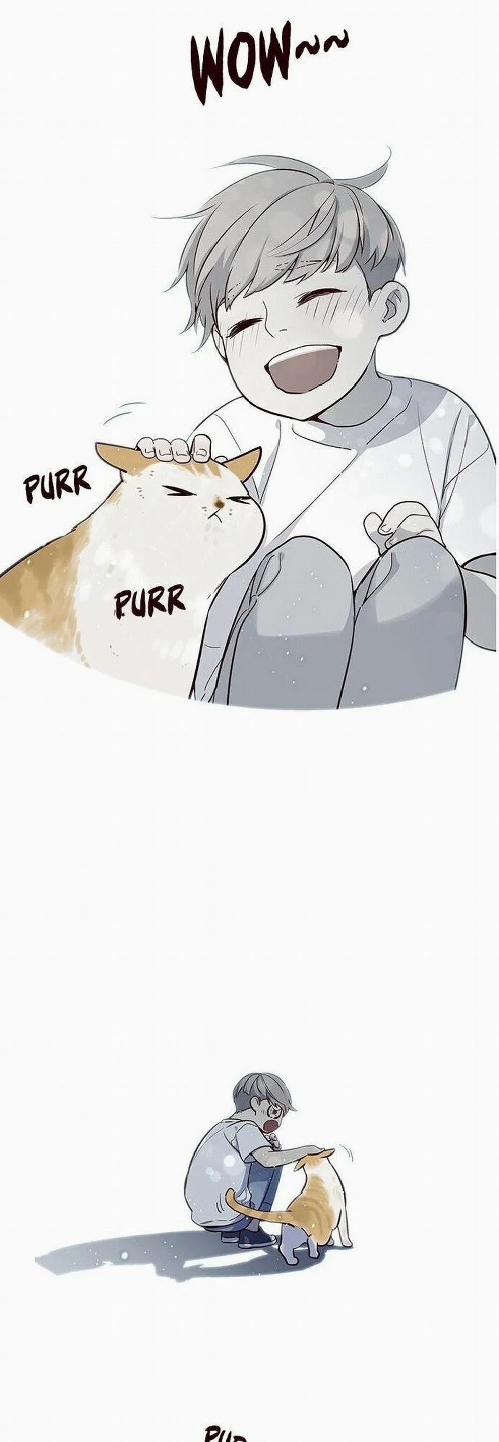 Hóa Thân Thành Mèo 7 trang 14