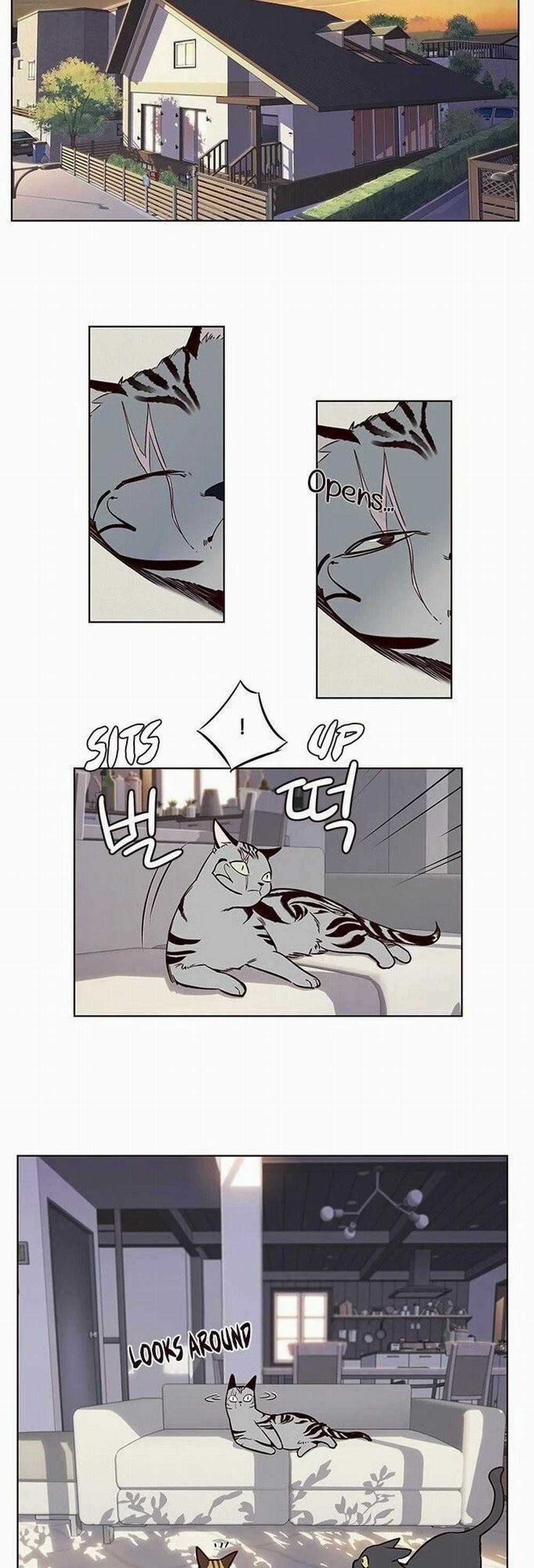 Hóa Thân Thành Mèo 7 trang 35