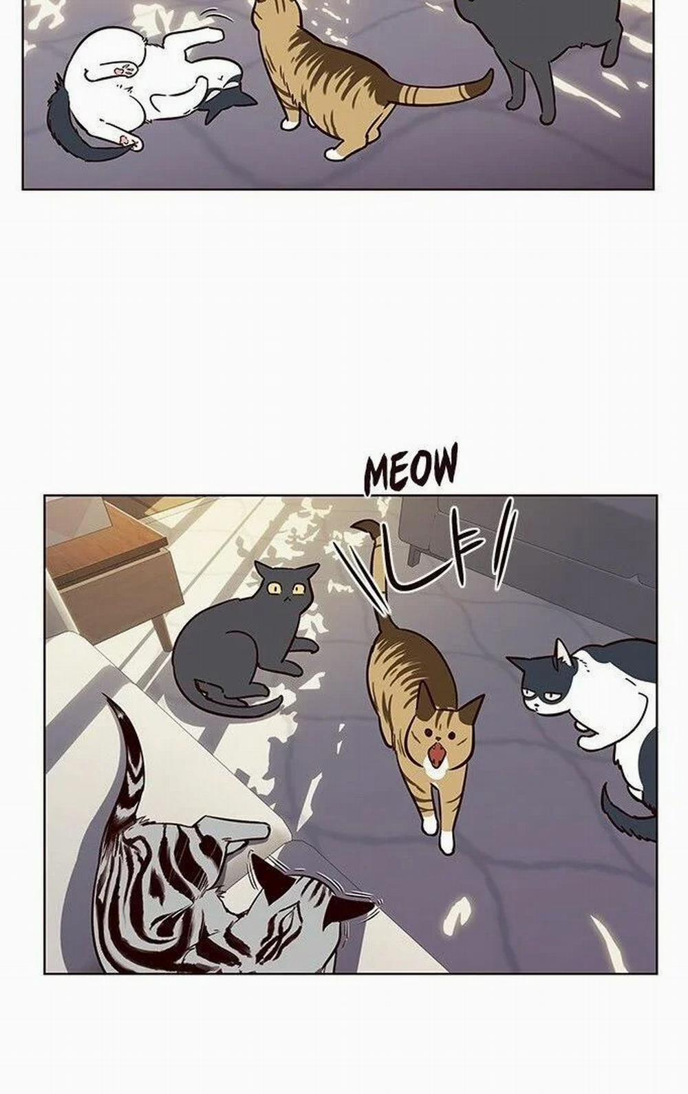 Hóa Thân Thành Mèo 7 trang 36
