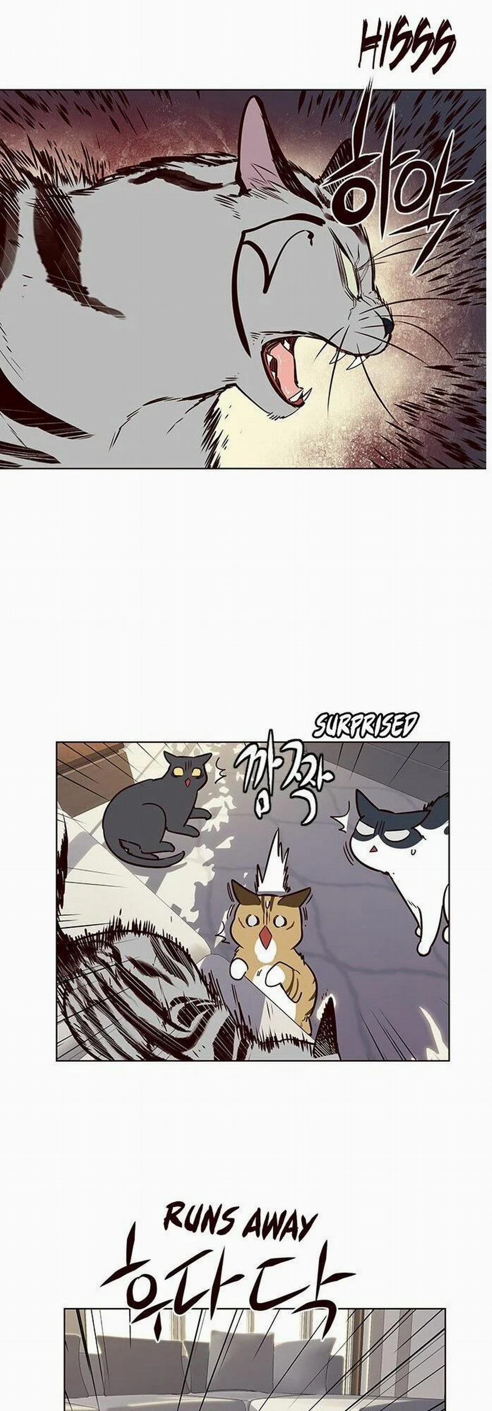 Hóa Thân Thành Mèo 7 trang 38