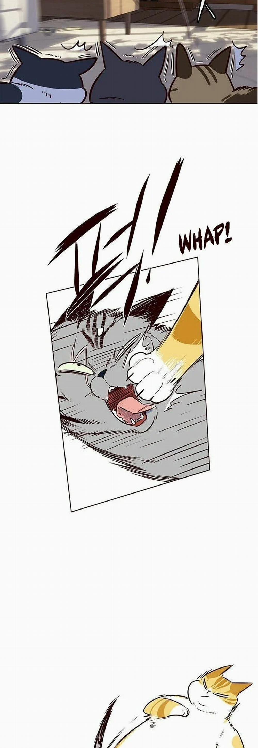 Hóa Thân Thành Mèo 7 trang 42