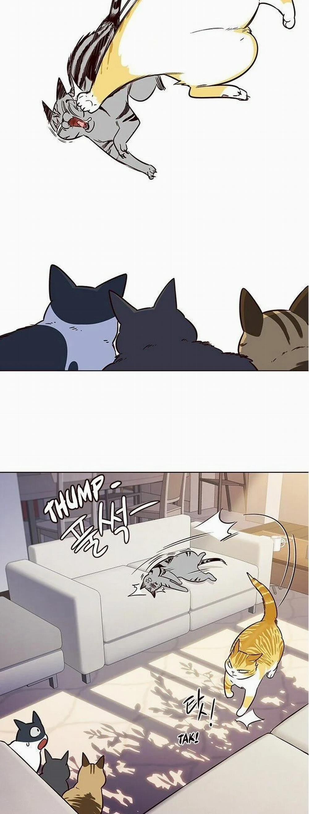 Hóa Thân Thành Mèo 7 trang 43