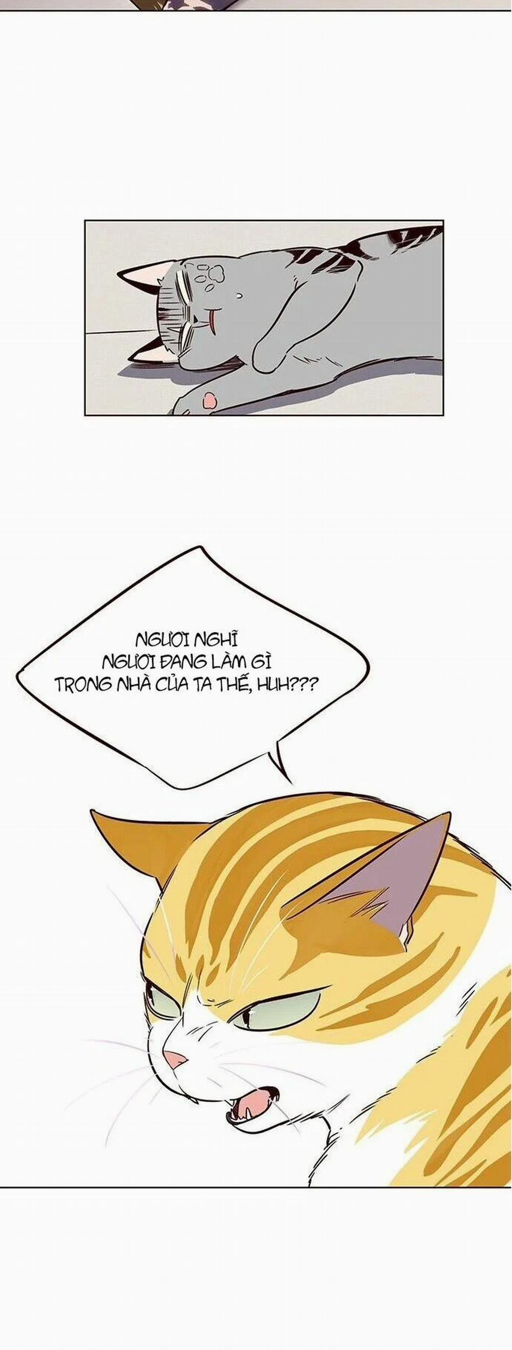 Hóa Thân Thành Mèo 7 trang 44