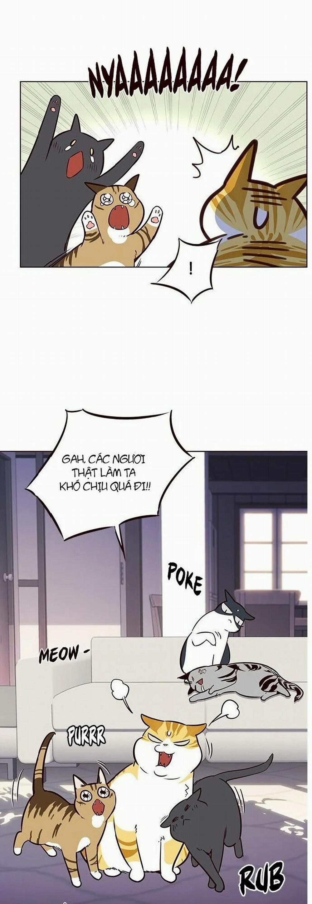 Hóa Thân Thành Mèo 7 trang 45
