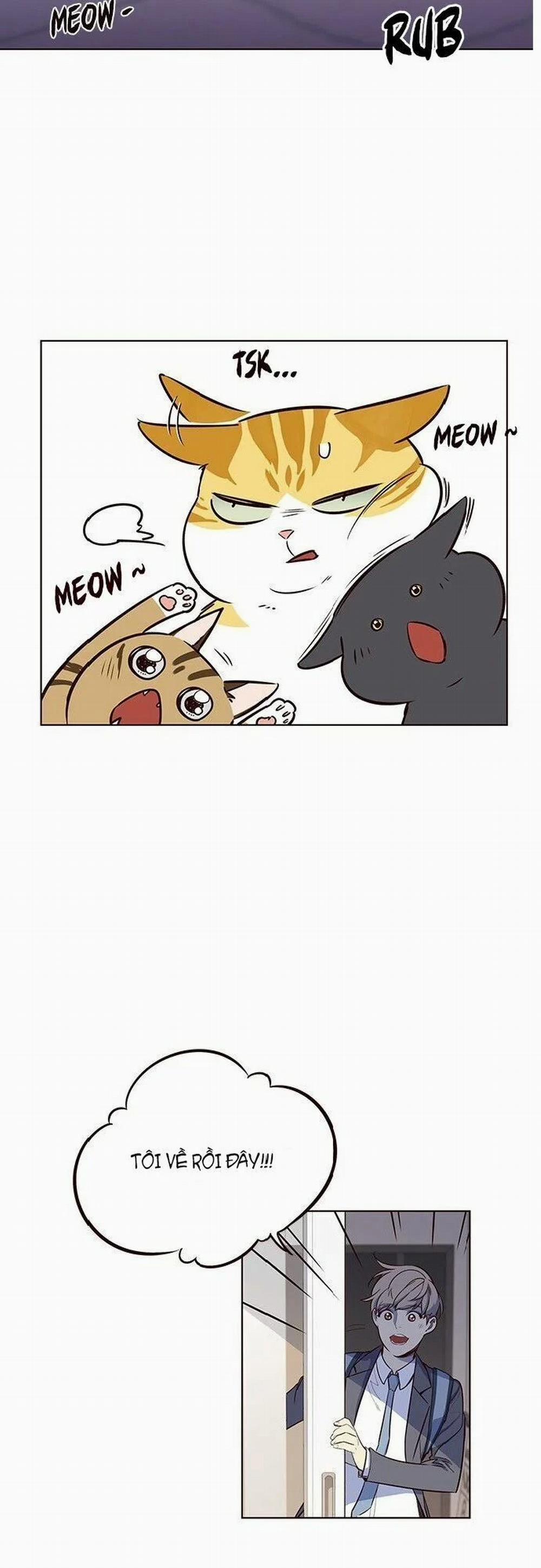 Hóa Thân Thành Mèo 7 trang 46