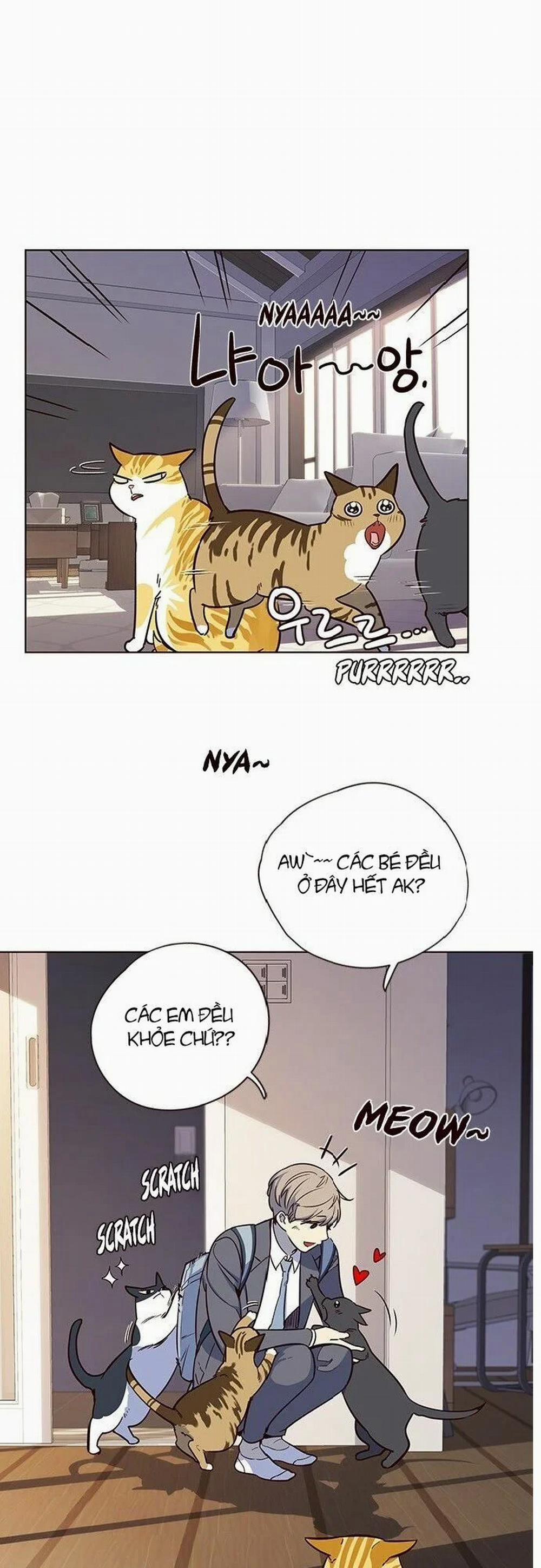 Hóa Thân Thành Mèo 7 trang 47