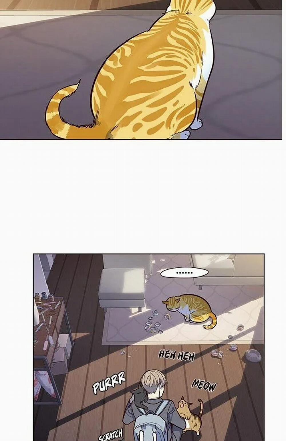 Hóa Thân Thành Mèo 7 trang 48