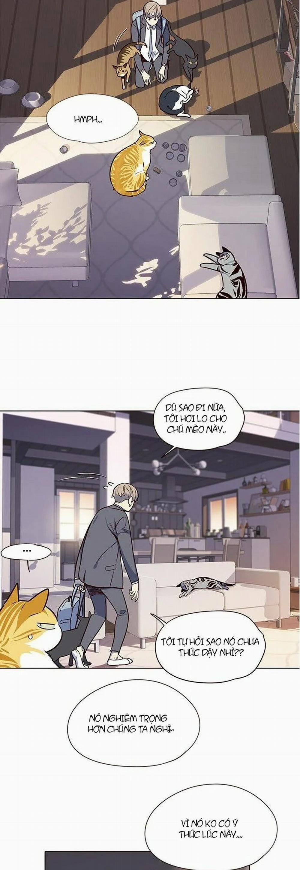 Hóa Thân Thành Mèo 7 trang 51