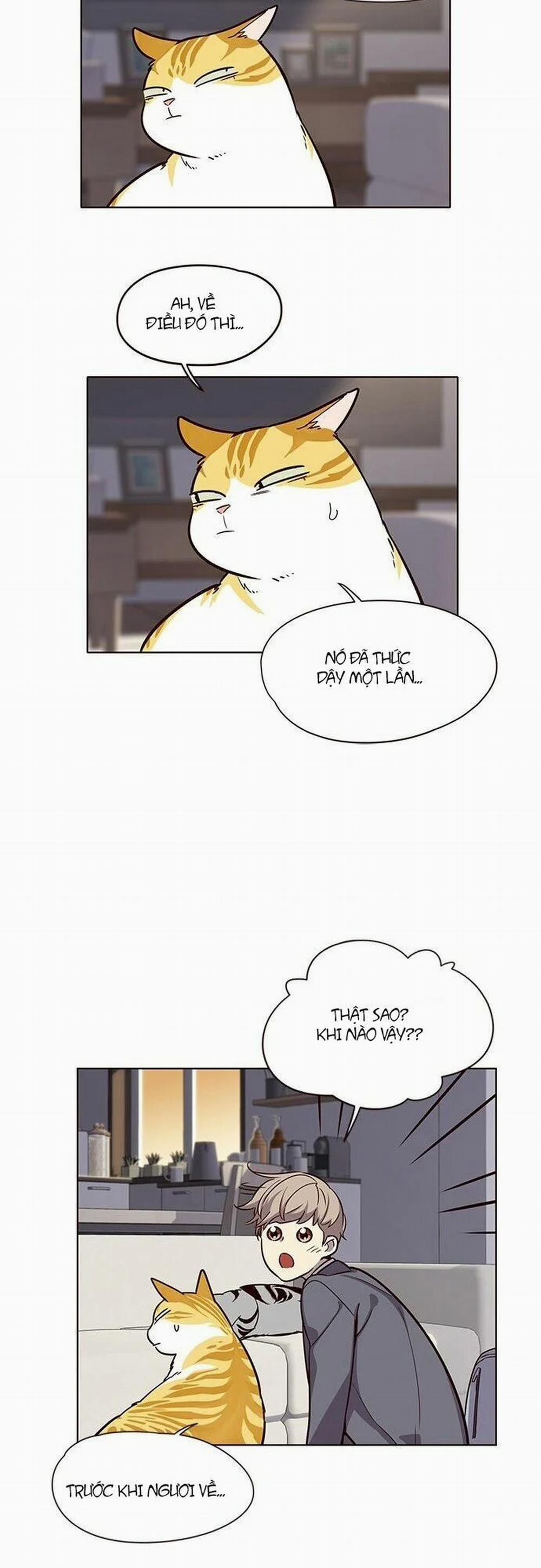Hóa Thân Thành Mèo 7 trang 52