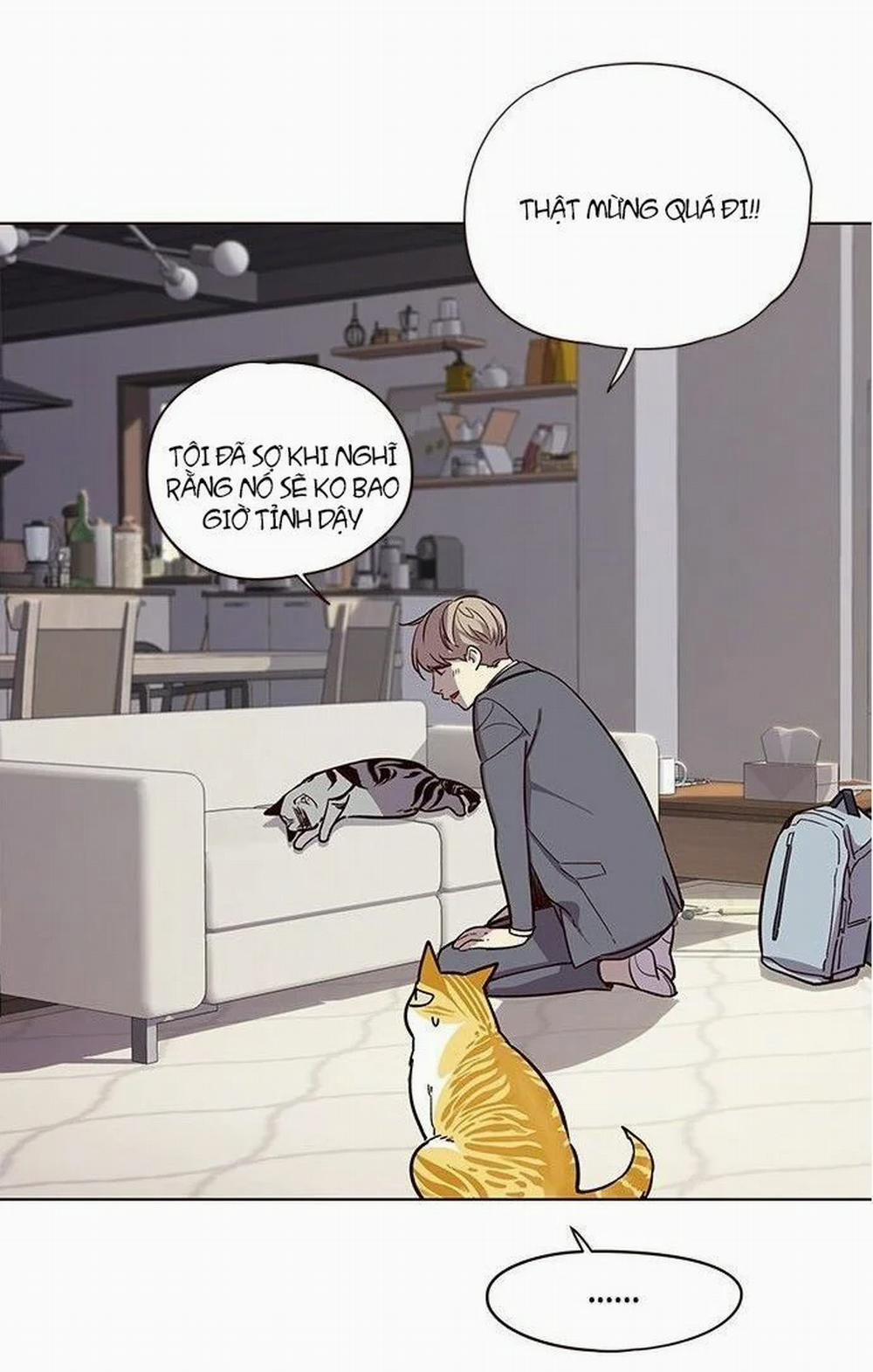 Hóa Thân Thành Mèo 7 trang 53