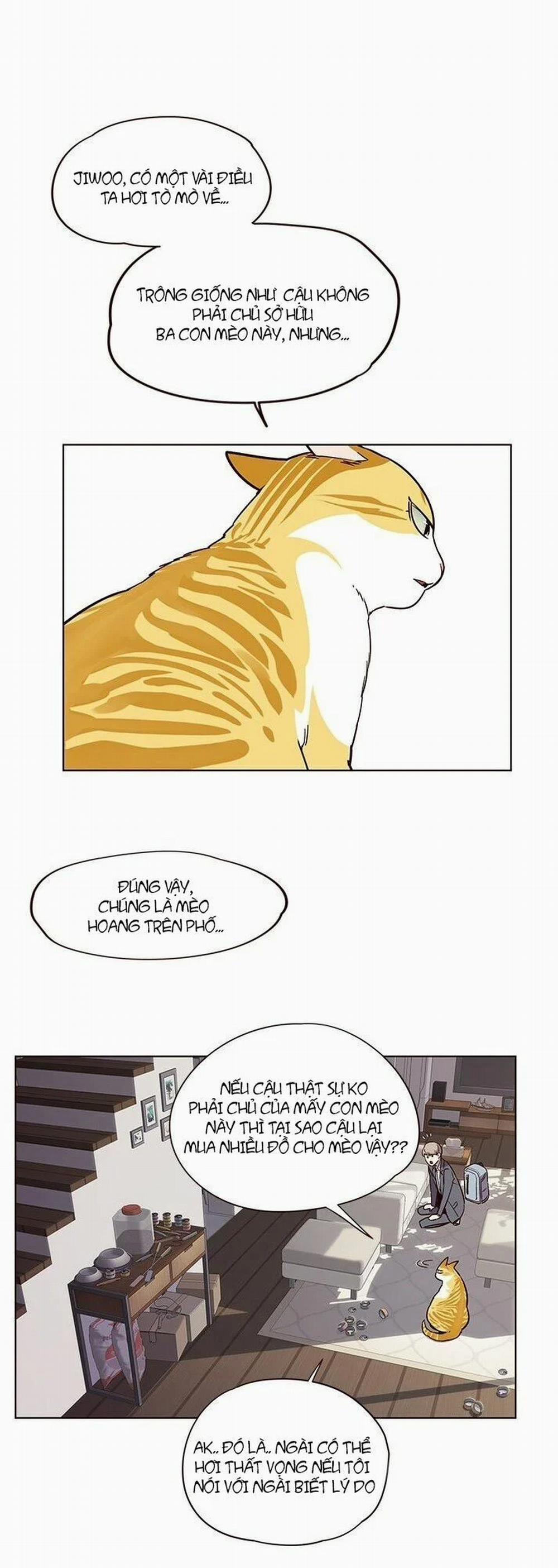 Hóa Thân Thành Mèo 7 trang 55