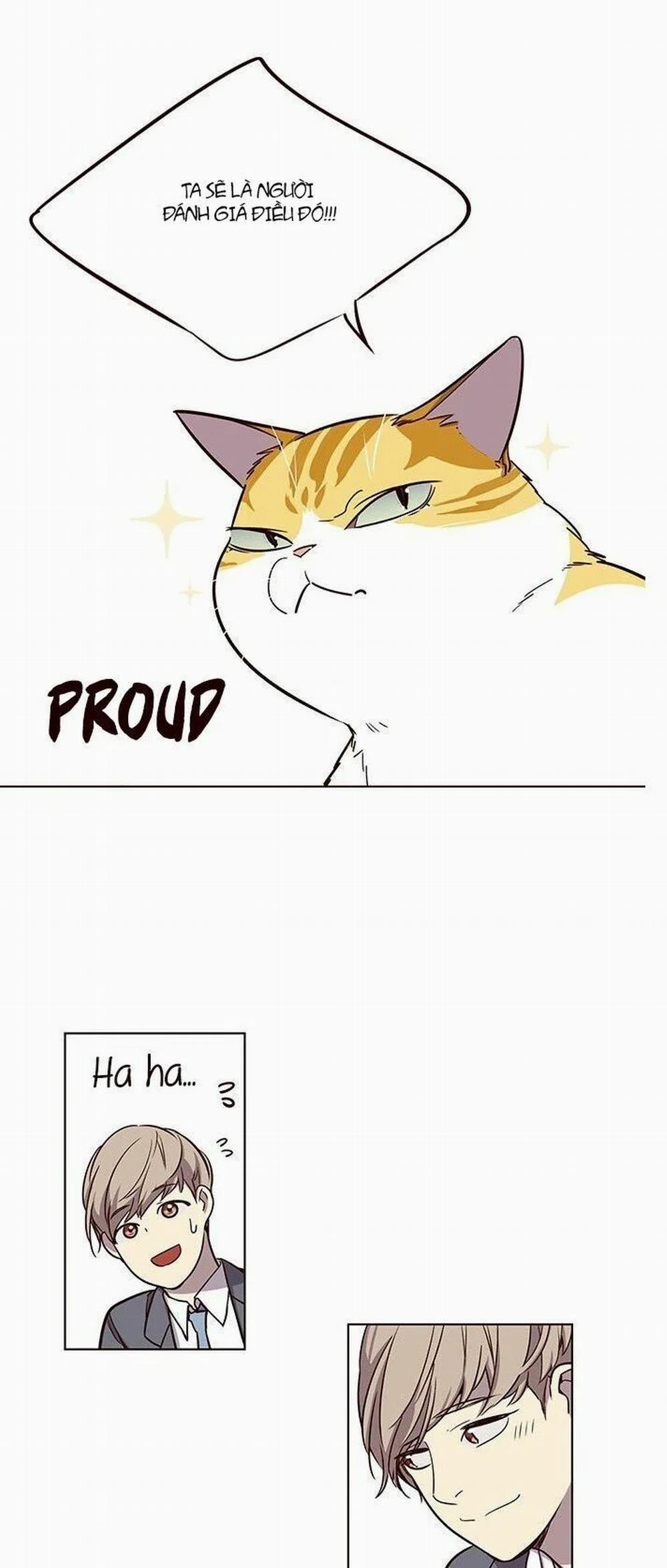 Hóa Thân Thành Mèo 7 trang 56