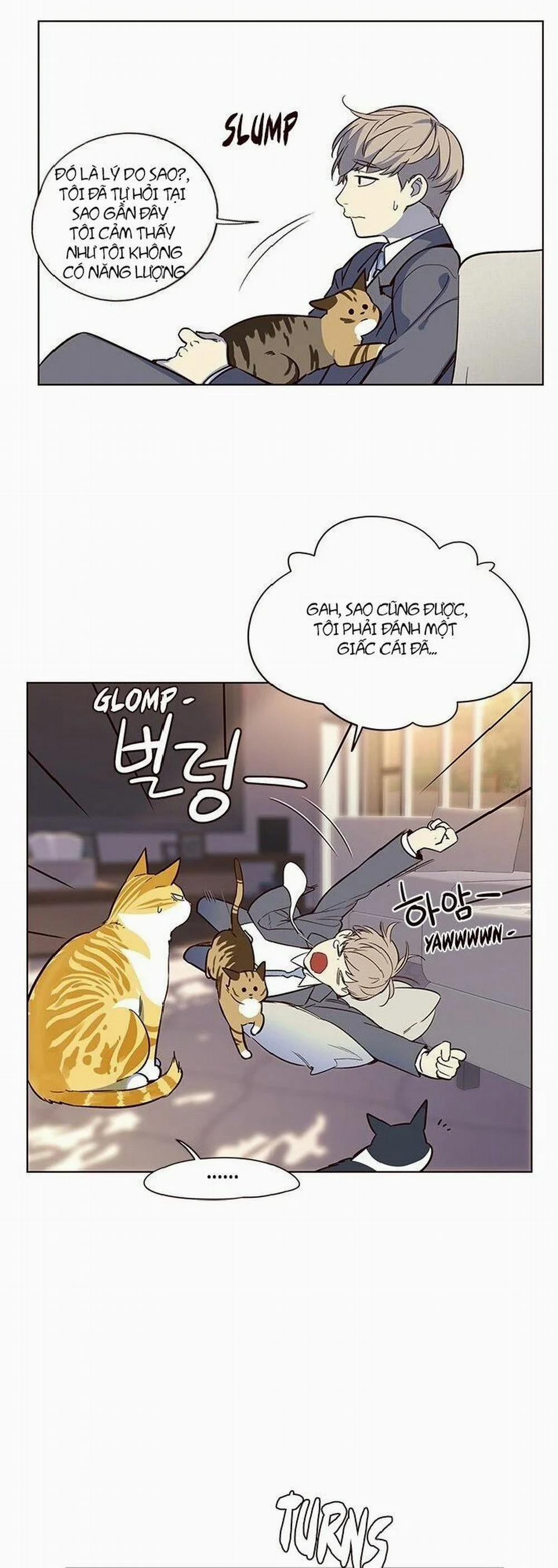 Hóa Thân Thành Mèo 7 trang 62