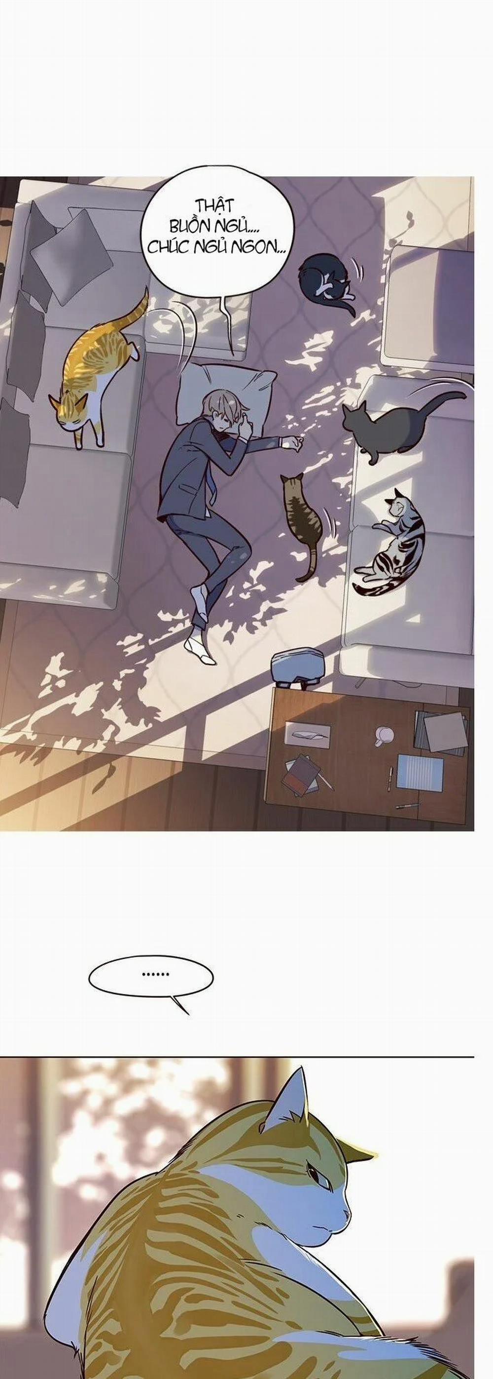 Hóa Thân Thành Mèo 7 trang 66