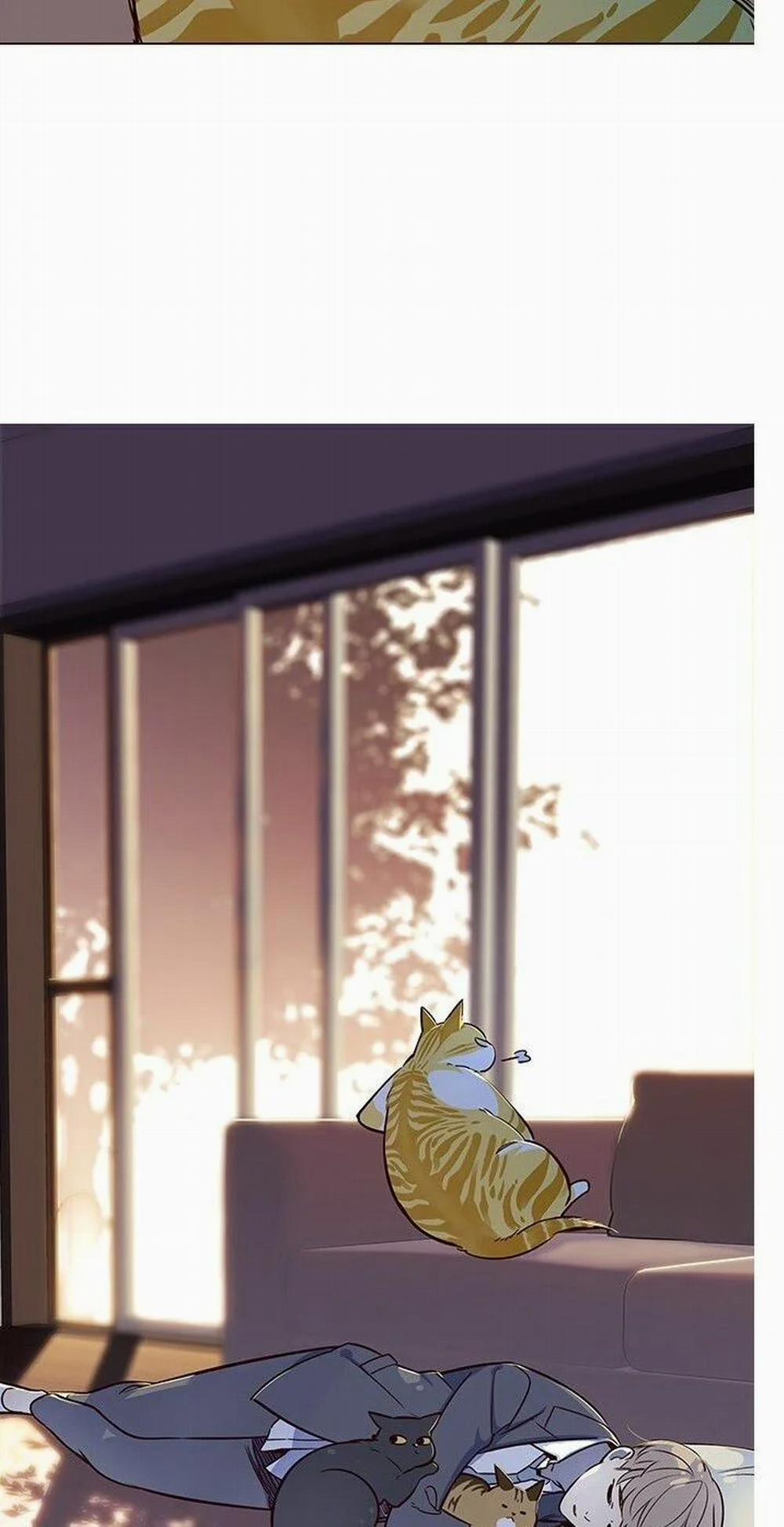 Hóa Thân Thành Mèo 7 trang 67