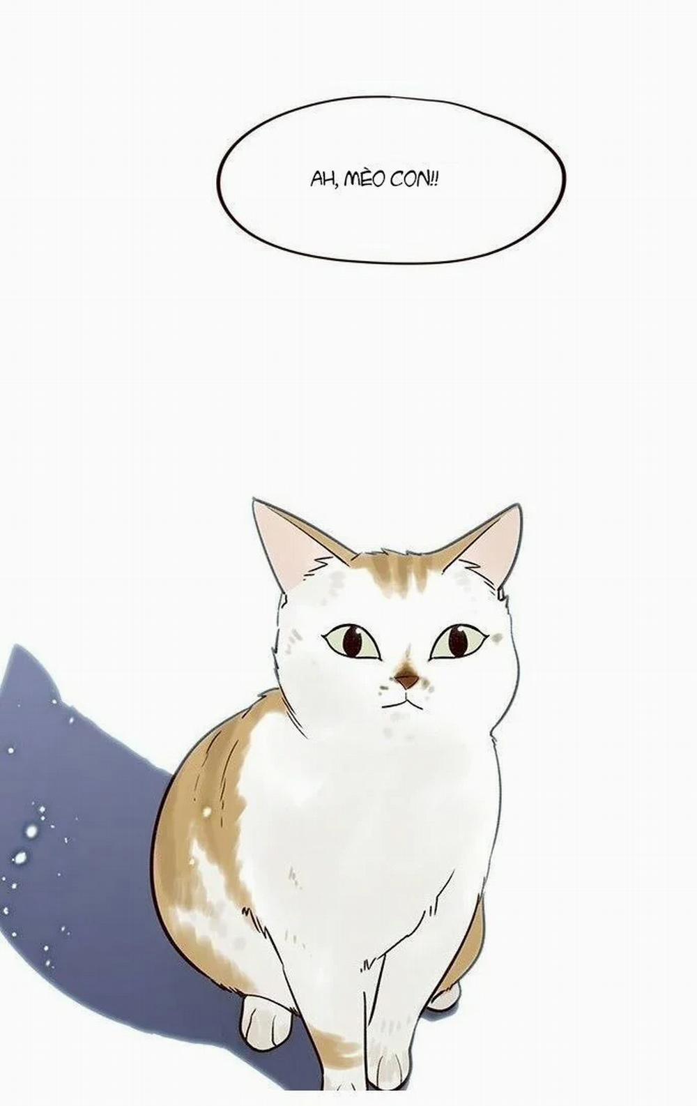 Hóa Thân Thành Mèo 7 trang 8