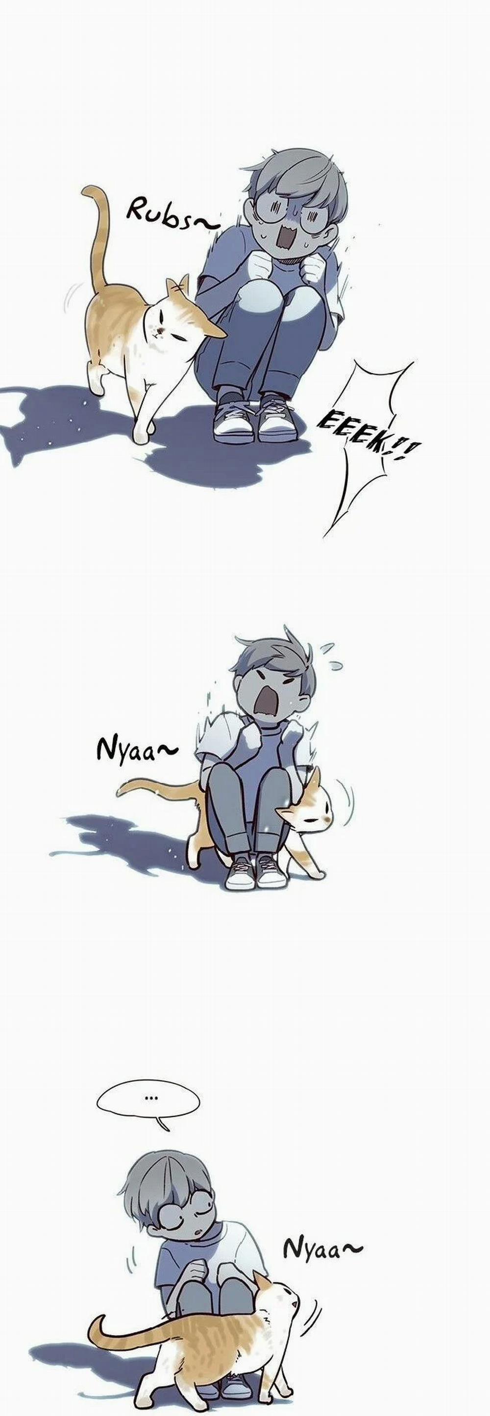 Hóa Thân Thành Mèo 7 trang 9