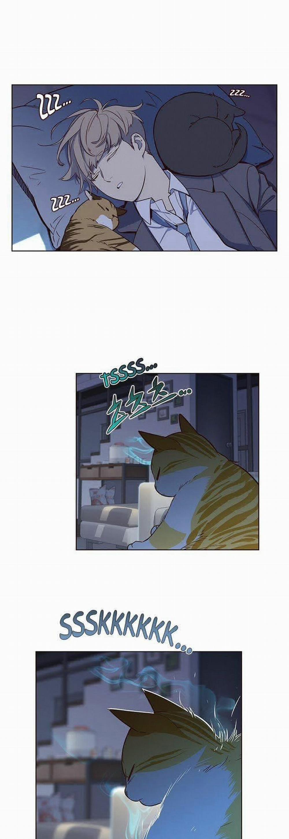 Hóa Thân Thành Mèo 8 trang 13