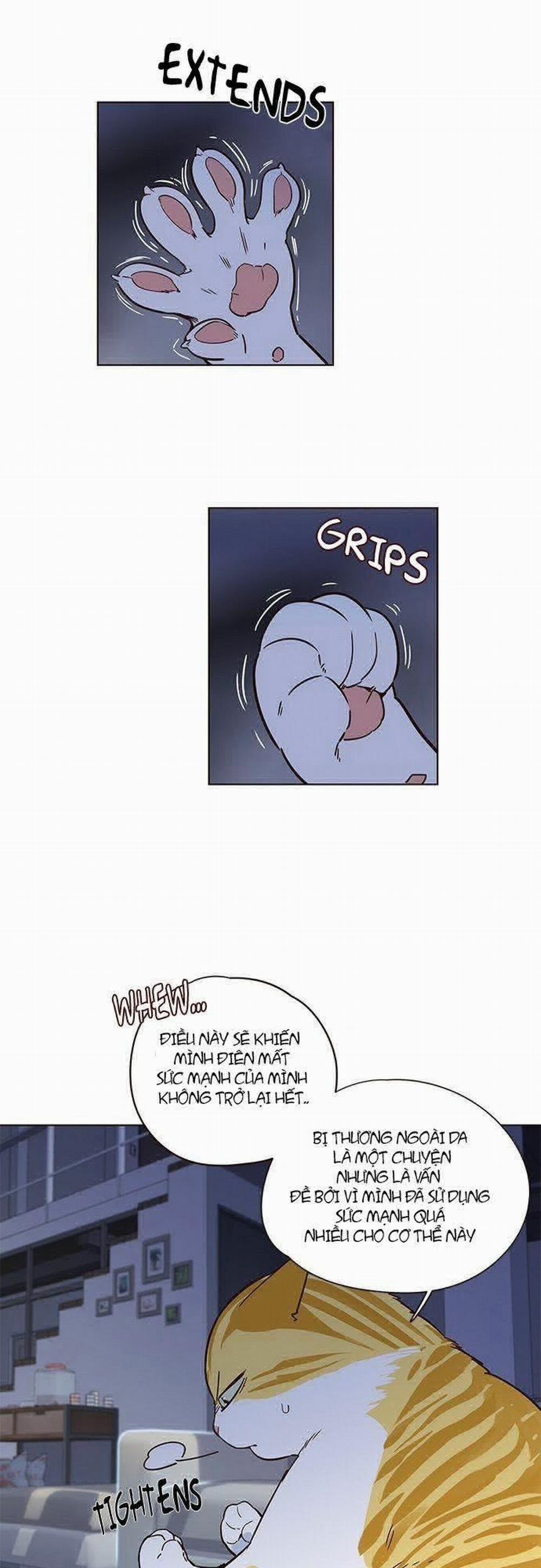 Hóa Thân Thành Mèo 8 trang 15