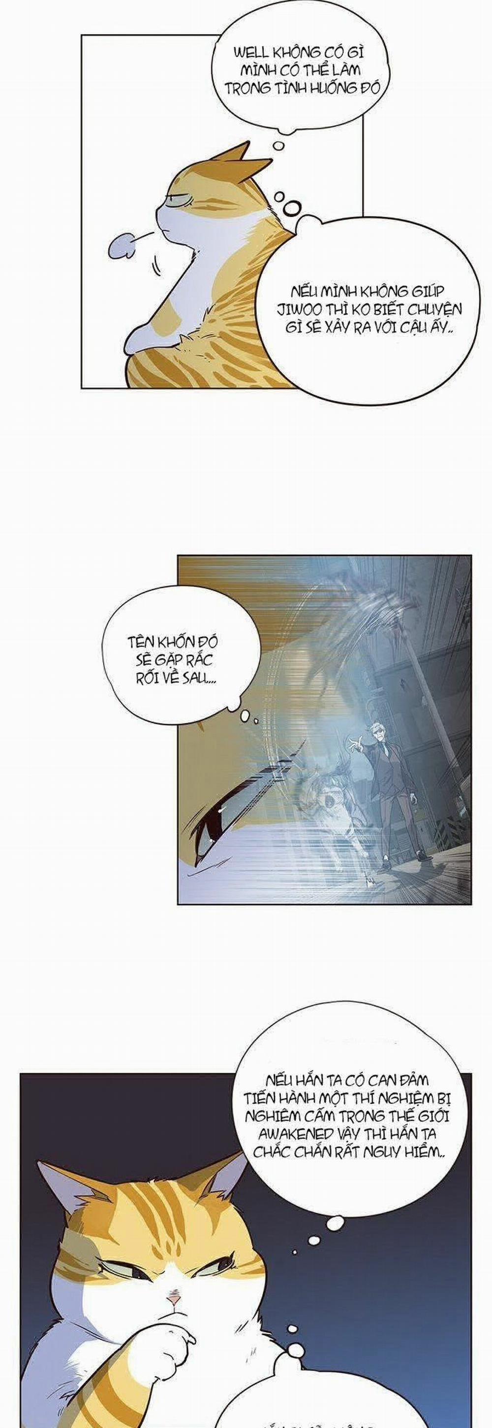 Hóa Thân Thành Mèo 8 trang 17