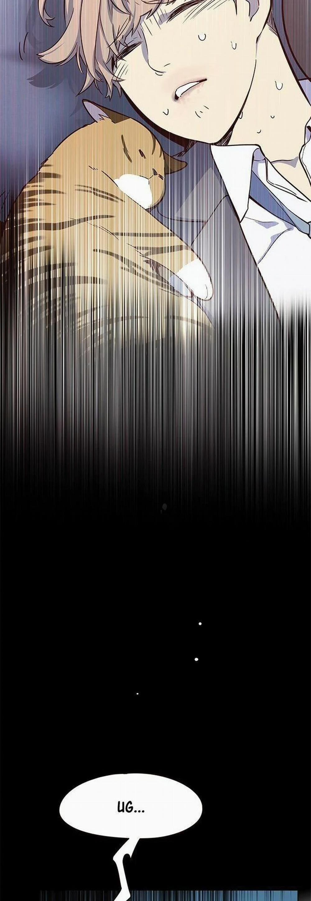 Hóa Thân Thành Mèo 8 trang 19