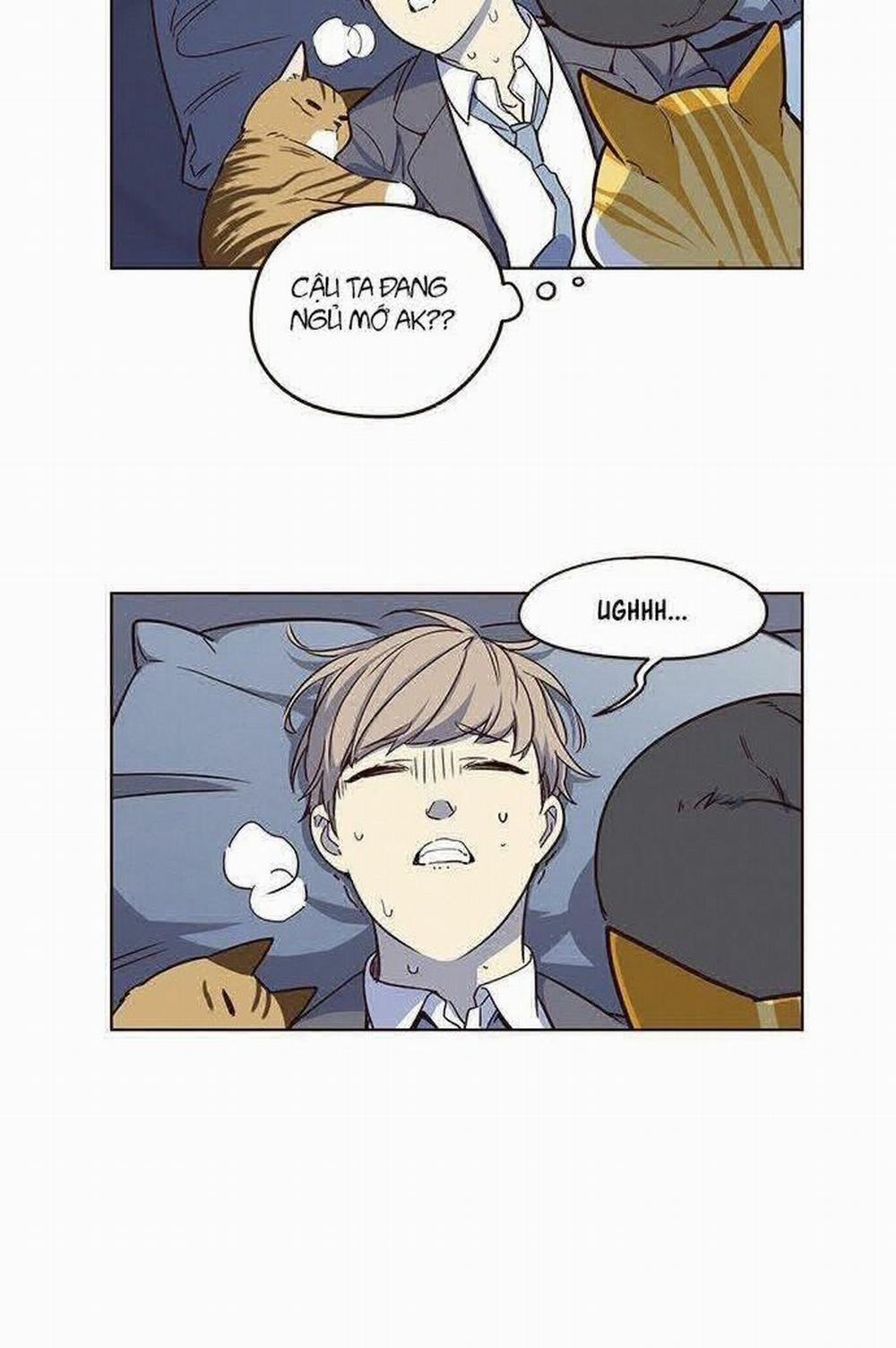 Hóa Thân Thành Mèo 8 trang 21
