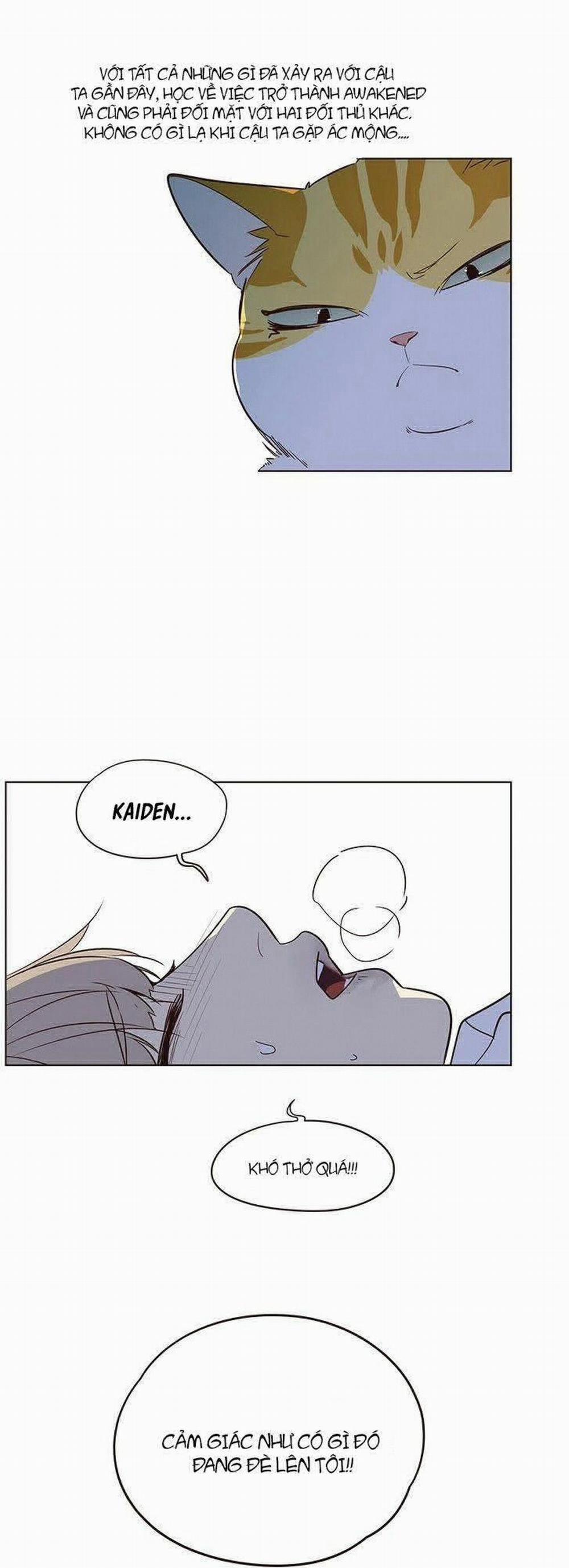 Hóa Thân Thành Mèo 8 trang 22