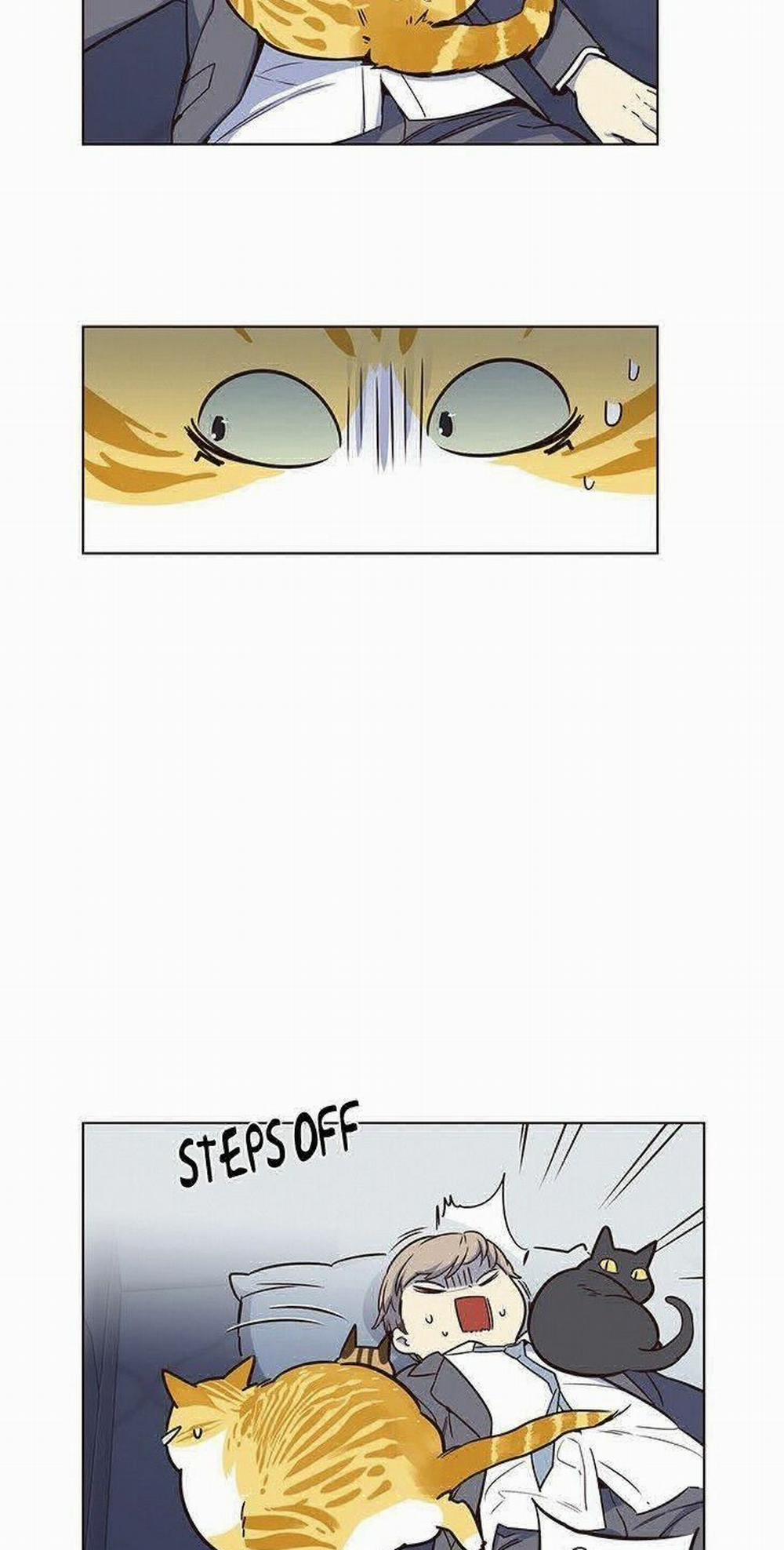 Hóa Thân Thành Mèo 8 trang 24