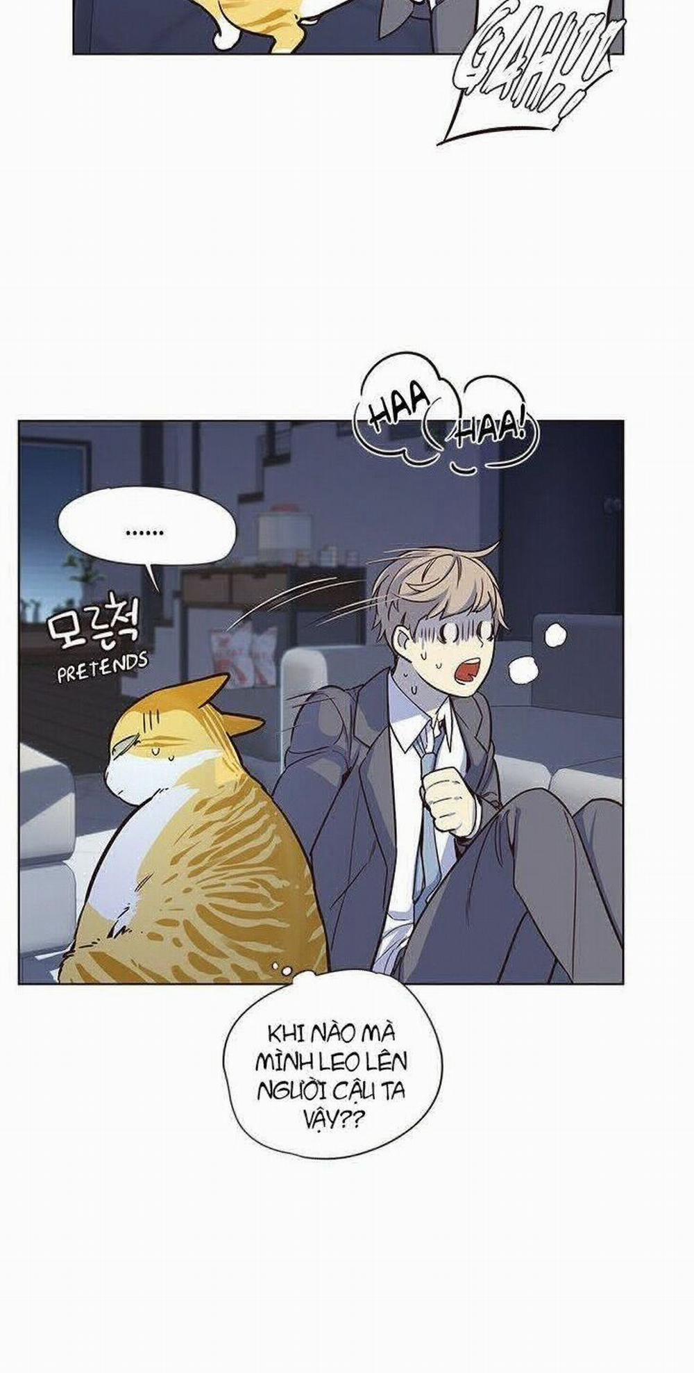Hóa Thân Thành Mèo 8 trang 25