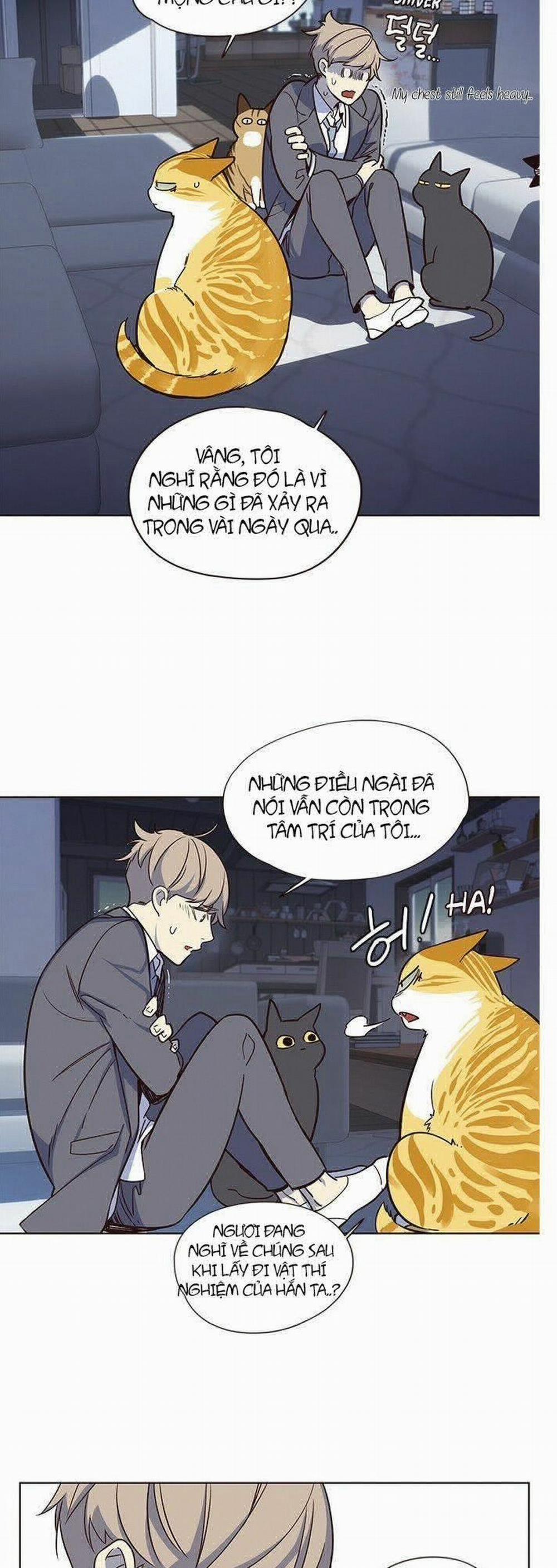 Hóa Thân Thành Mèo 8 trang 27