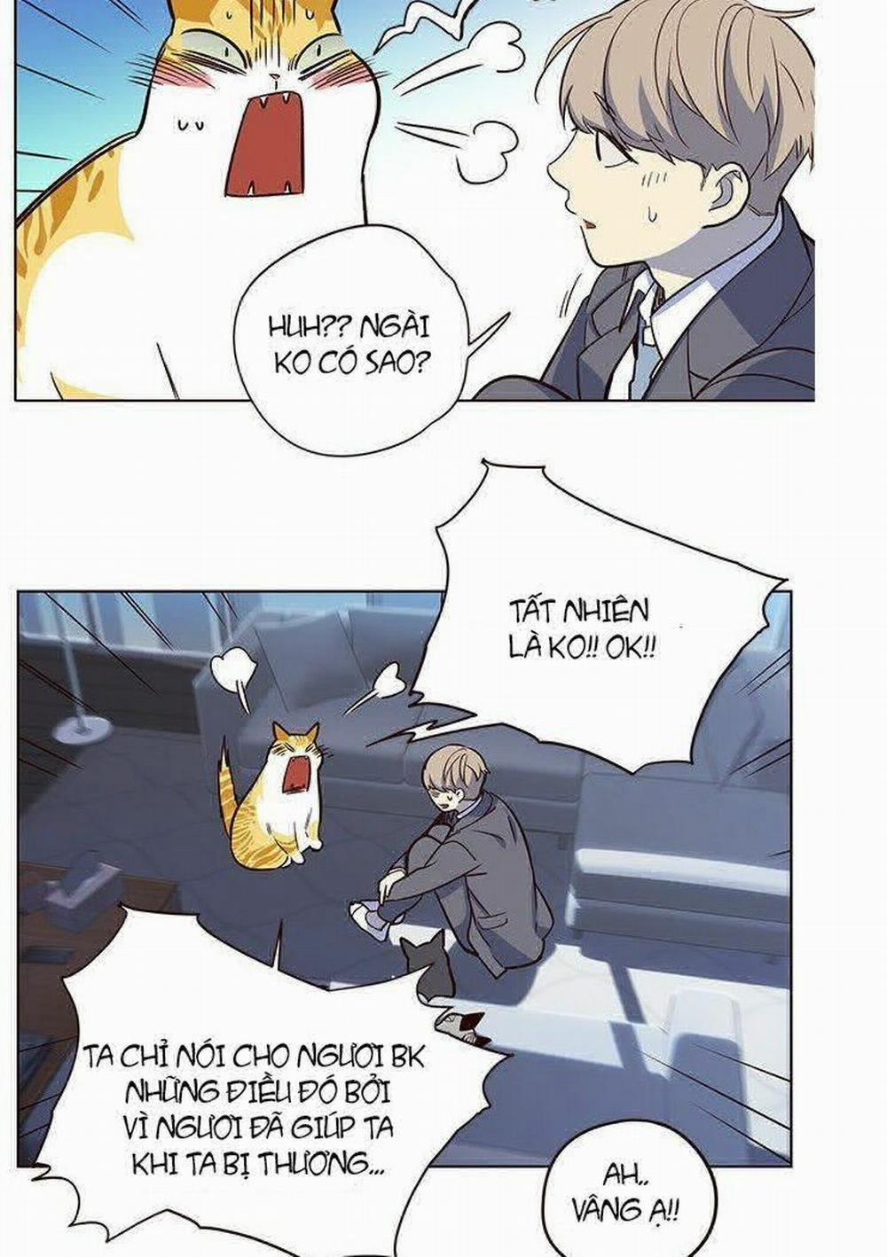 Hóa Thân Thành Mèo 8 trang 31