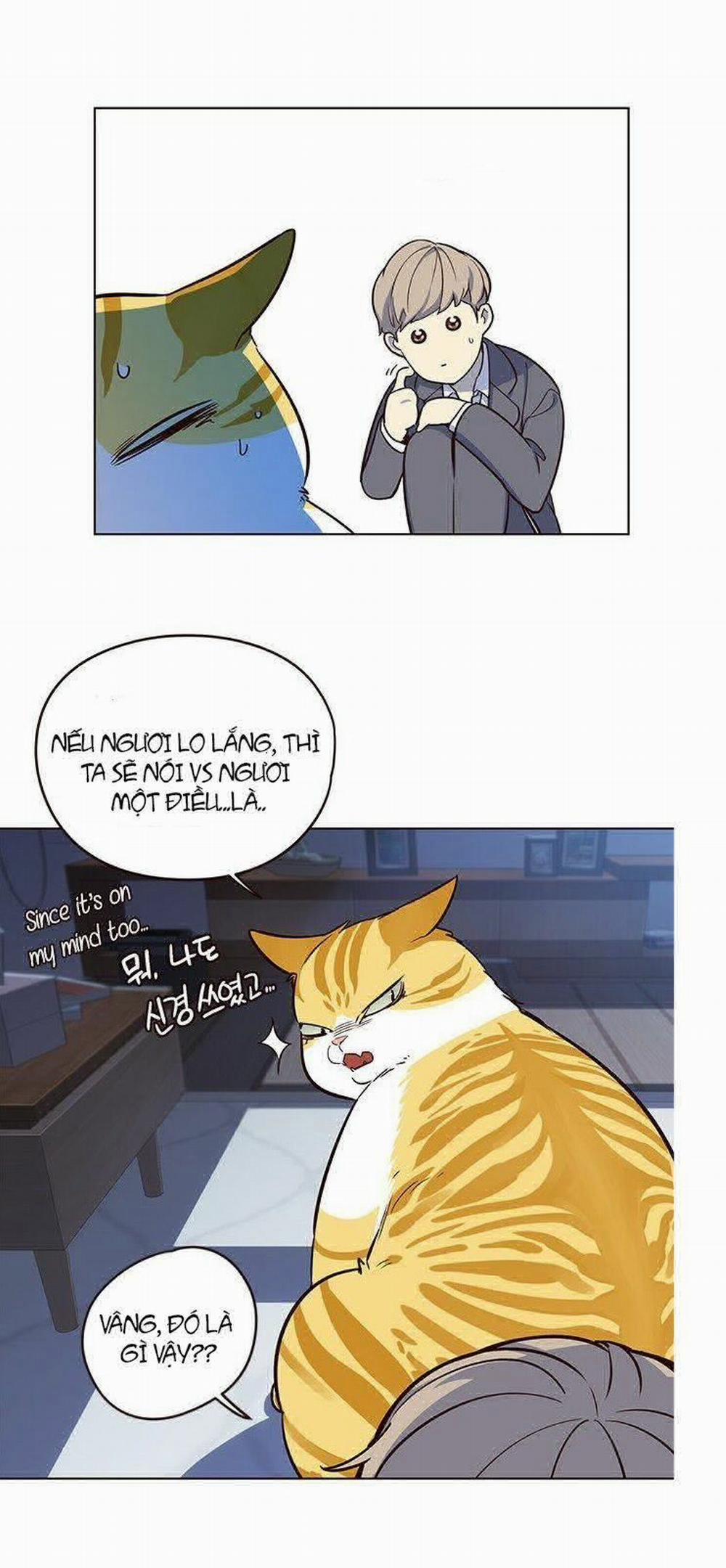 Hóa Thân Thành Mèo 8 trang 33