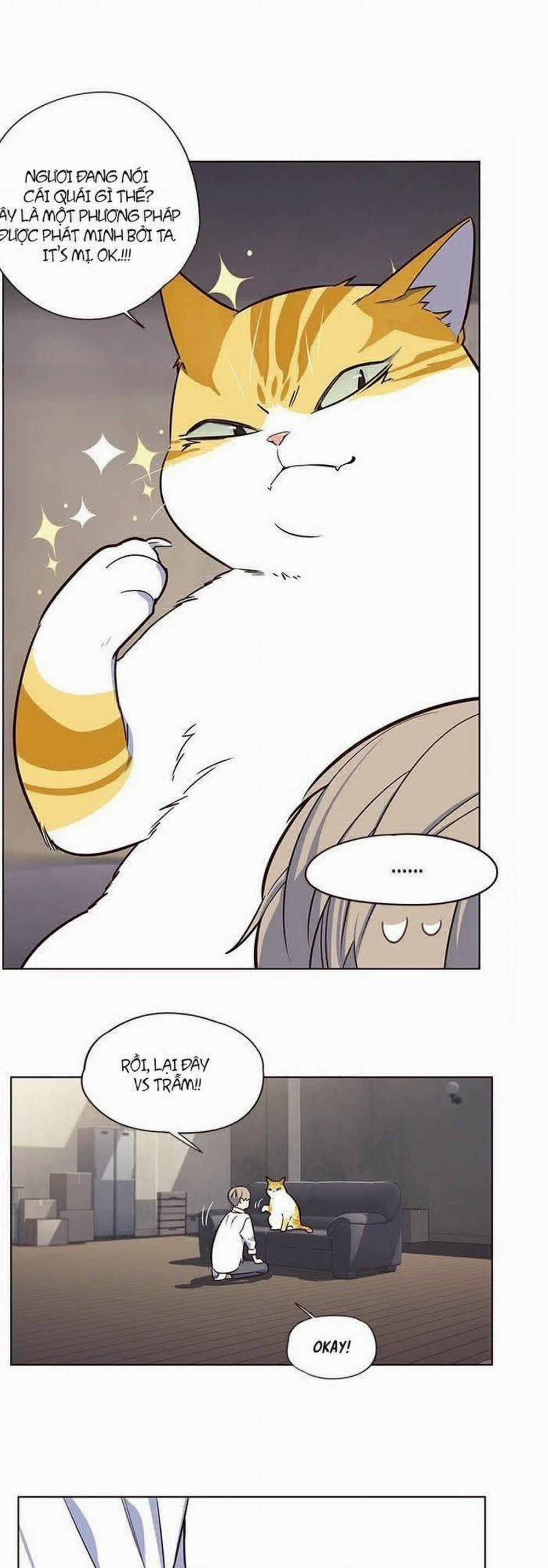 Hóa Thân Thành Mèo 8 trang 41