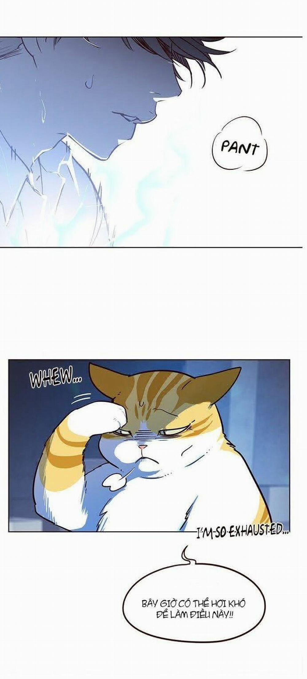 Hóa Thân Thành Mèo 8 trang 52