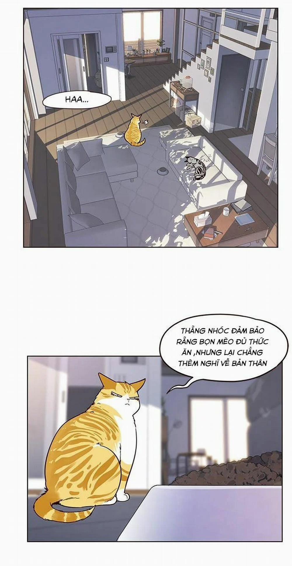 Hóa Thân Thành Mèo 9 trang 25