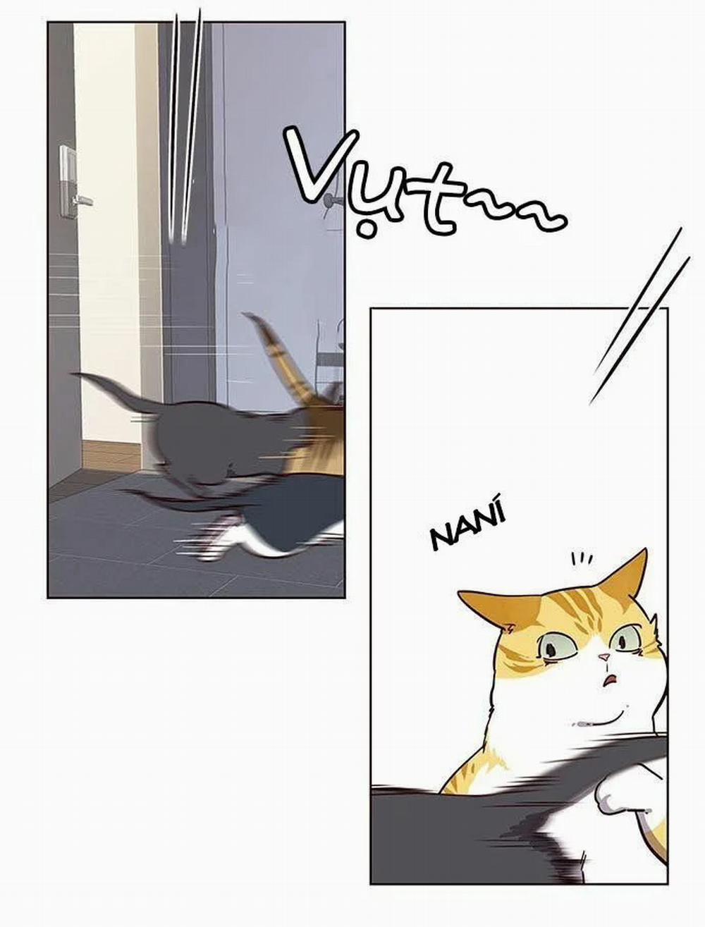 Hóa Thân Thành Mèo 9 trang 32