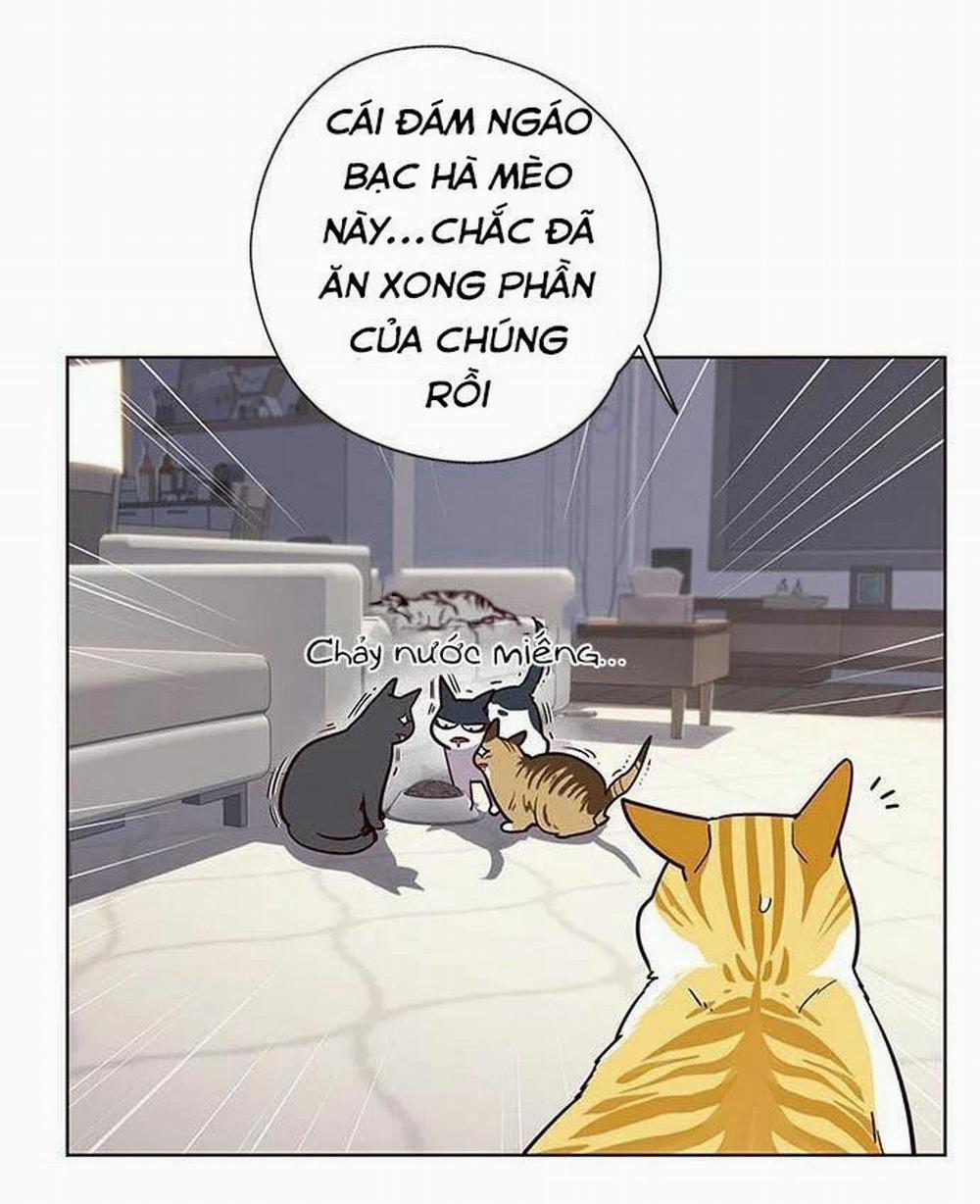 Hóa Thân Thành Mèo 9 trang 33