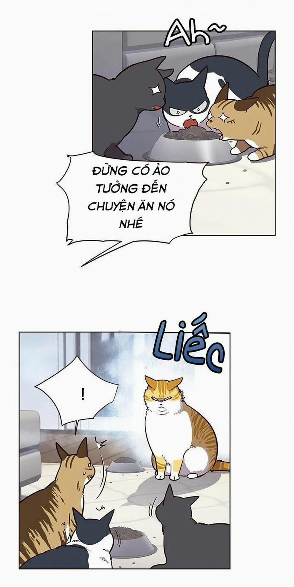 Hóa Thân Thành Mèo 9 trang 34