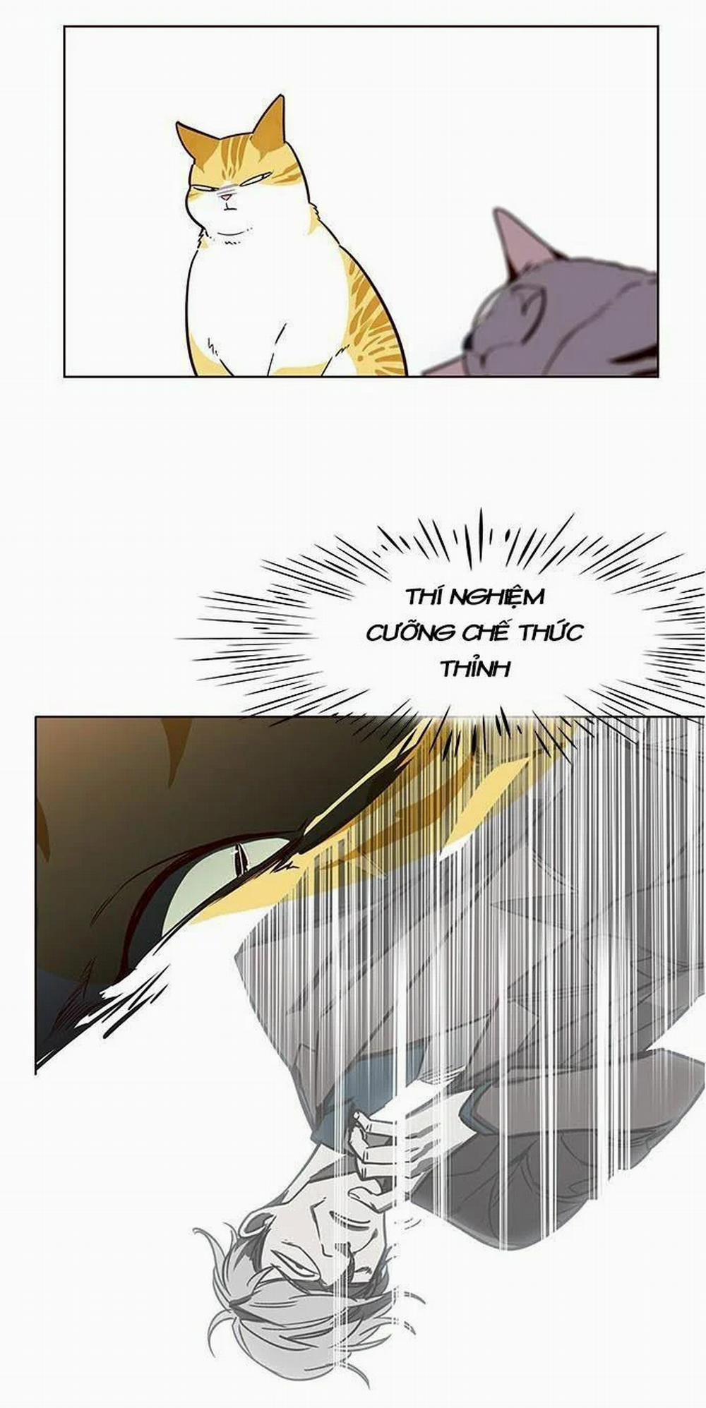 Hóa Thân Thành Mèo 9 trang 36