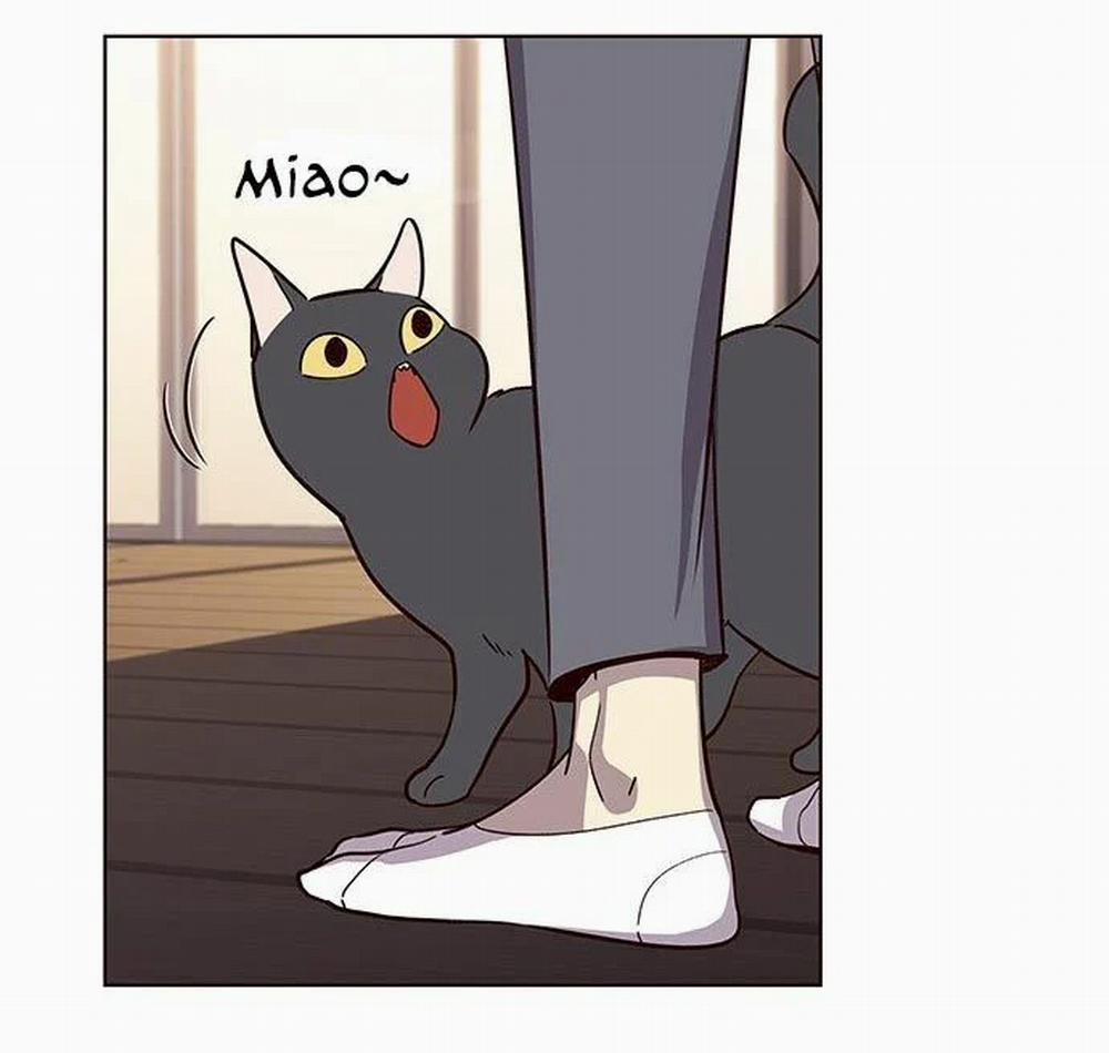 Hóa Thân Thành Mèo 9 trang 73