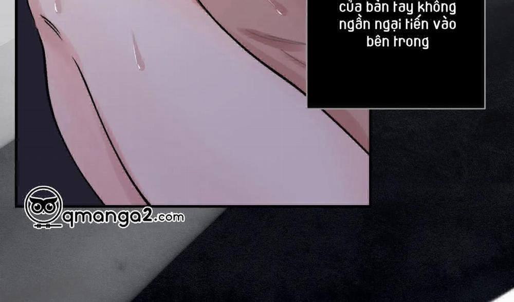 Hoa Và Gươm 10 trang 134