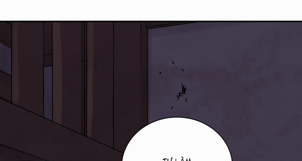 Hoa Và Gươm 10 trang 166