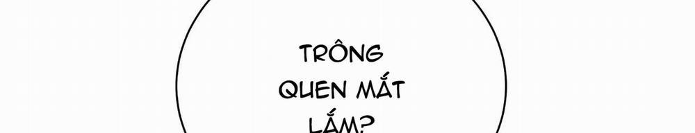 Hoa Và Gươm 2 trang 210