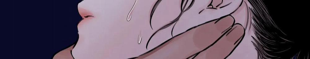 Hoa Và Gươm 2 trang 215