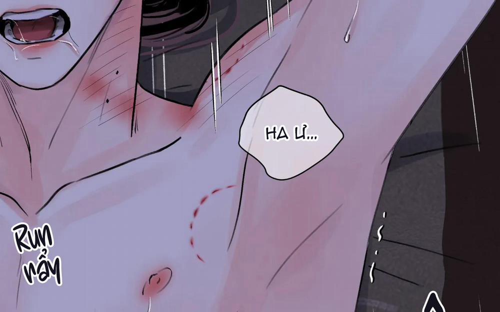 Hoa Và Gươm 24 trang 16