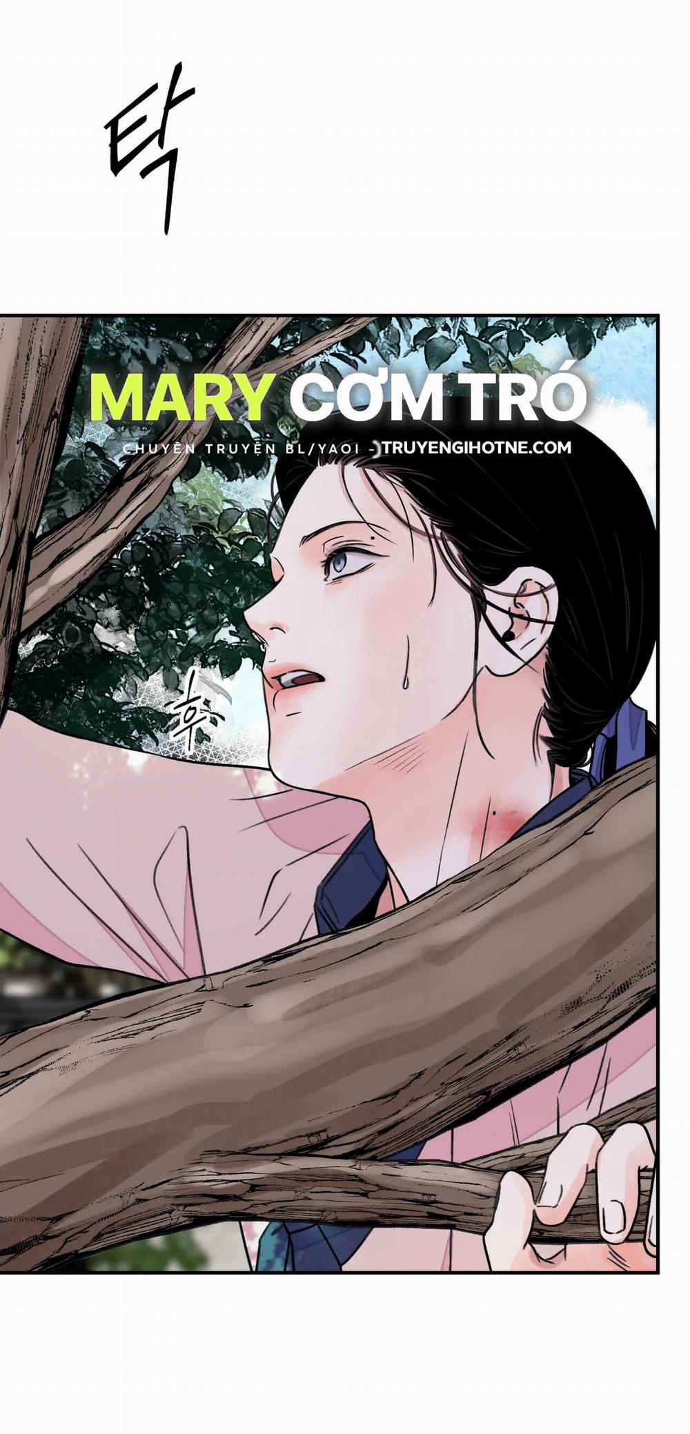 Hoa Và Gươm 26.2 trang 4